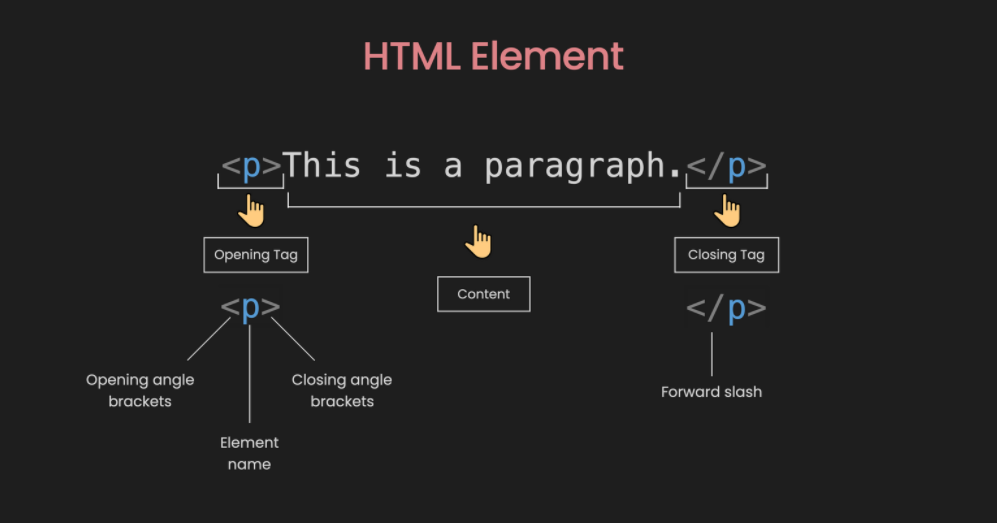 Các element và tags HTML cơ bản