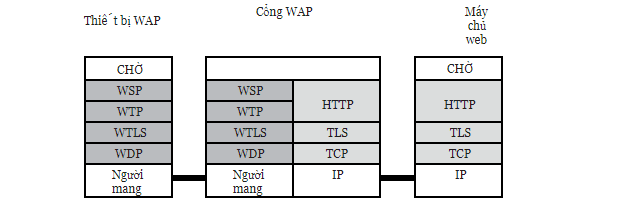 WAP là gì? tìm hiểu WAP protocol