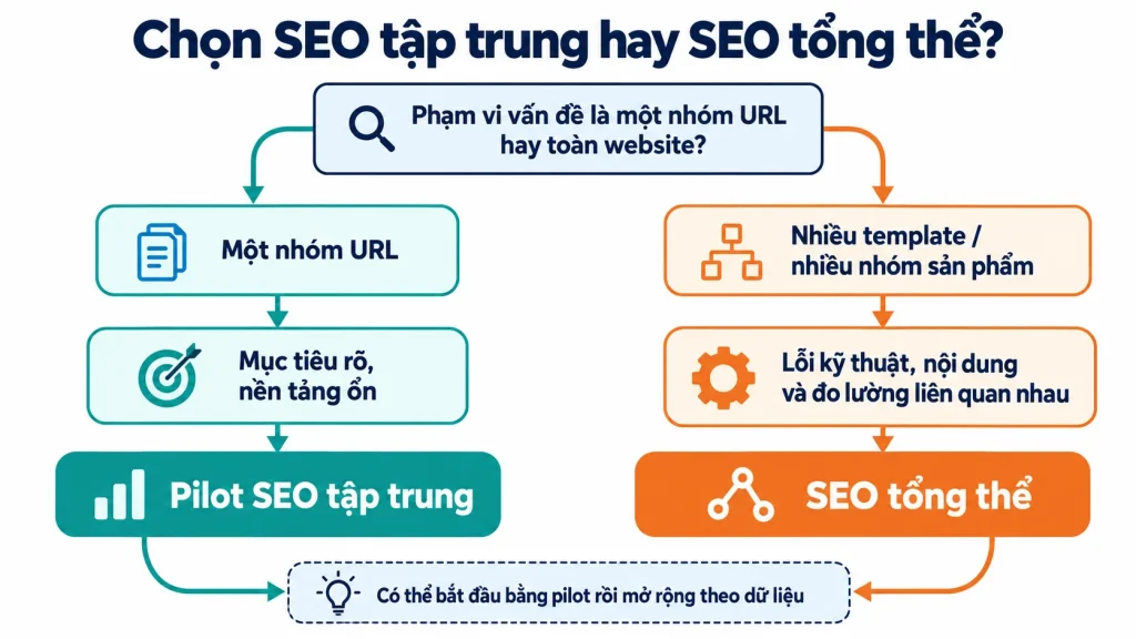 Sơ đồ lựa chọn SEO tập trung hoặc SEO tổng thể theo phạm vi website
