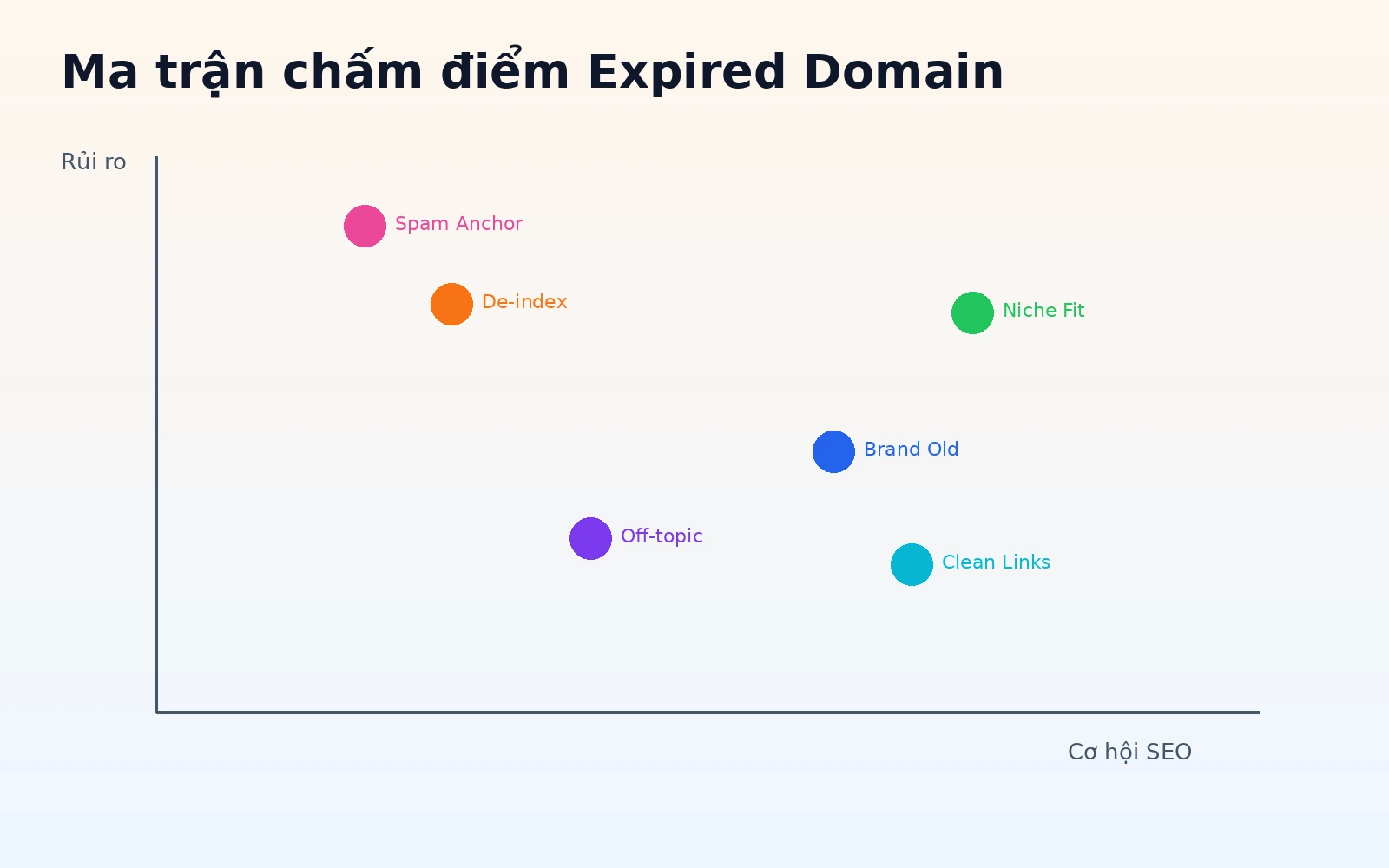 Ma trận đánh giá expired domain theo lịch sử backlink anchor index và business fit